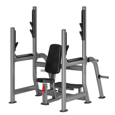 Insight Shoulder Press - DR029